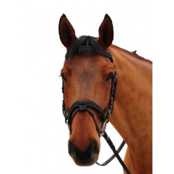 BRIDON CANTER MYLORD