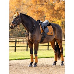 TAPIS LEMIEUX DRESSAGE...