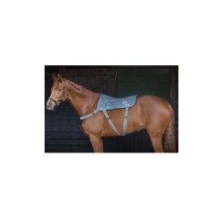 TAPIS DE MASSAGE EQUILIBRIUM