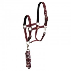 DUO LICOL ET LONGE PREMIERE