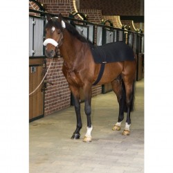 Back Warmer Back on Track...