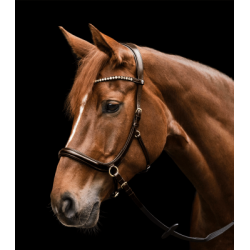 BRIDON SANS MORS WALDHAUSEN...