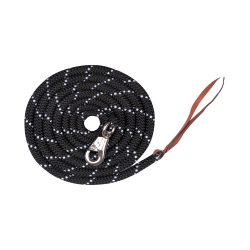 LONGE DE PRESENTATION...