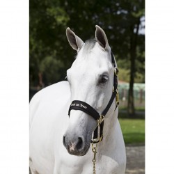 LICOL BACK ON TRACK WERANO