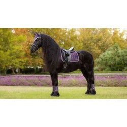 TAPIS LEMIEUX LOIRE DRESSAGE