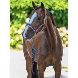 SET LICOL ET LONGE TOMMY...