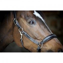 LICOL CUIR POINT SELLIER...