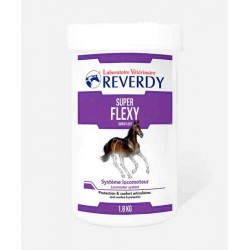 SUPER FLEXY REVERDY POT 1.8KG