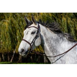 BRIDON MUSEROLLE FRANÇAISE...