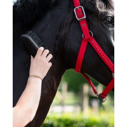 BOUCHON QHP OAKLEIGH