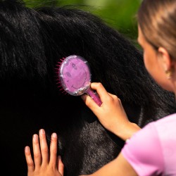 BROSSE A CRIN QHP ROSALYNN