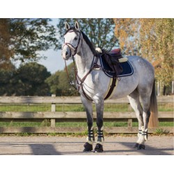 SANGLE ANATOMIQUE QHP...