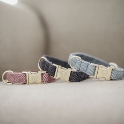 COLLIER POUR CHIEN KENTUCKY...