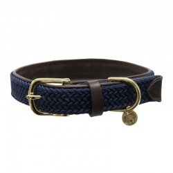 COLLIER POUR CHIEN KENTUCKY...