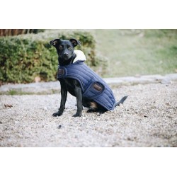MANTEAU POUR CHIEN KENTUCKY...