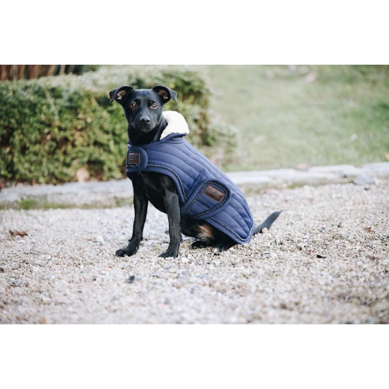 kentucky manteau chien