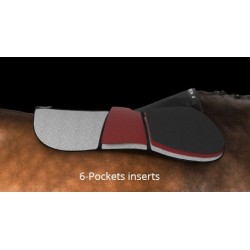 WINDEREN AMORTISSEUR DE...