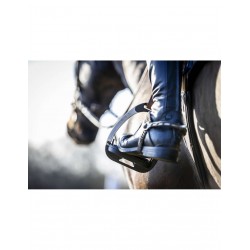 ETRIER DE SECURITE LEMIEUX...