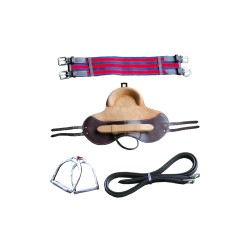 BARDETTE EDUCATIVE COMPLETE