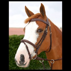 BRIDON DYON MUSEROLLE...