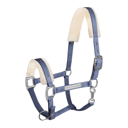 LICOL WALDHAUSEN BARCELONA