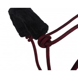 LICOL ETHOLOGIQUE QHP AVEC...