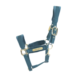 LICOL VELVET KENTUCKY