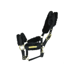 LICOL EN NYLON MOUTON KENTUCKY