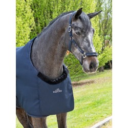 PROTECTION DE POITRAIL...