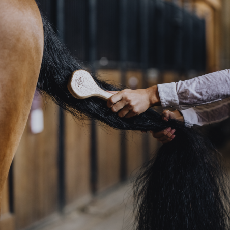 Brosse à crins cheval - Grooming Deluxe - GROOMING DELUXE - Brosses et  bouchons - Equestra