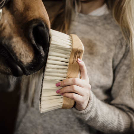 Grooming Deluxe - Bouchon à poils durs