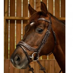 BRIDON DYON FIT WORKING