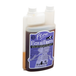 KEVIN BACON'S EQUIGEM FLOW