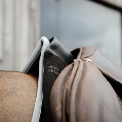 AMORTISSEUR KENTUCKY...