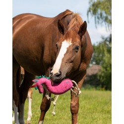 JOUET POUR CHEVAUX QHP LICORNE