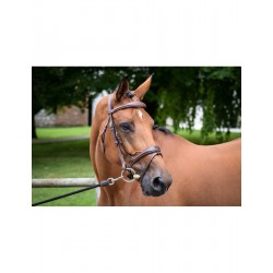 JUMPIN BRIDON  ONE BRUXELLES