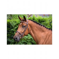 JUMPIN BRIDON  ONE LONDON