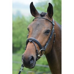 JUMPIN BRIDON WEDNESDAY -...