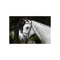 JUMPIN BRIDON CRYSTAL -...