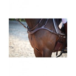 JUMPIN ONE COLLIER CHASSE...