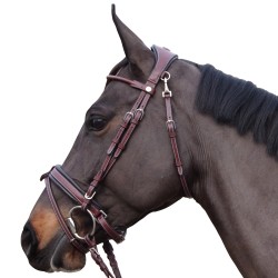 BRIDON FLAGS&CUP MADRID