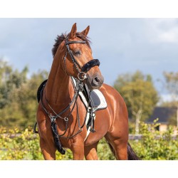 FOURREAU DE MUSEROLLE QHP