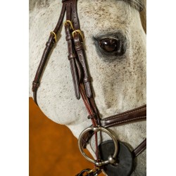 MONTANT DE RELEVEUR DYON