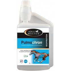 HORSEMASTER PULMOCHRON 500ML