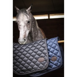 TAPIS JUMPIN TRAINING