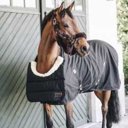 HORSE BIB KENTUCKY HIVER