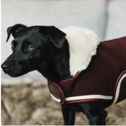 MANTEAU CHIEN KENTUCKY...