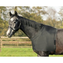 PROTECTION DE POITRAIL ET...