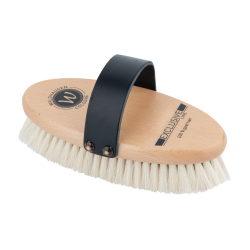 BROSSE A LUSTRER WALDHAUSEN