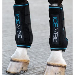 ICE VIBE HORSEWARE